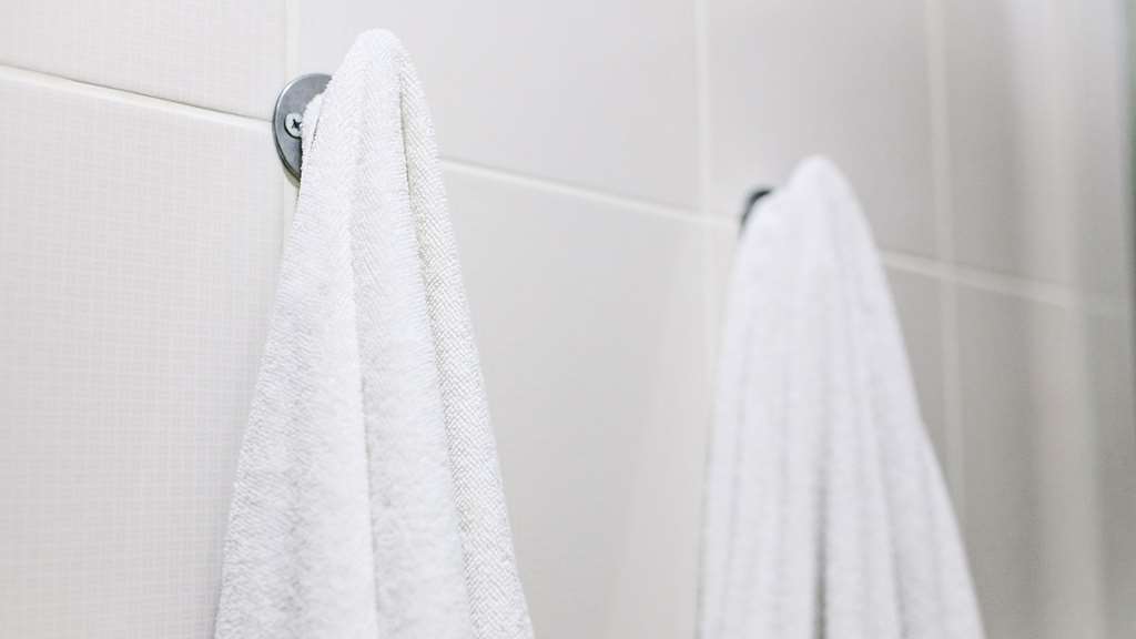 Mountain Inn & Suites Flat Rock Rom bilde