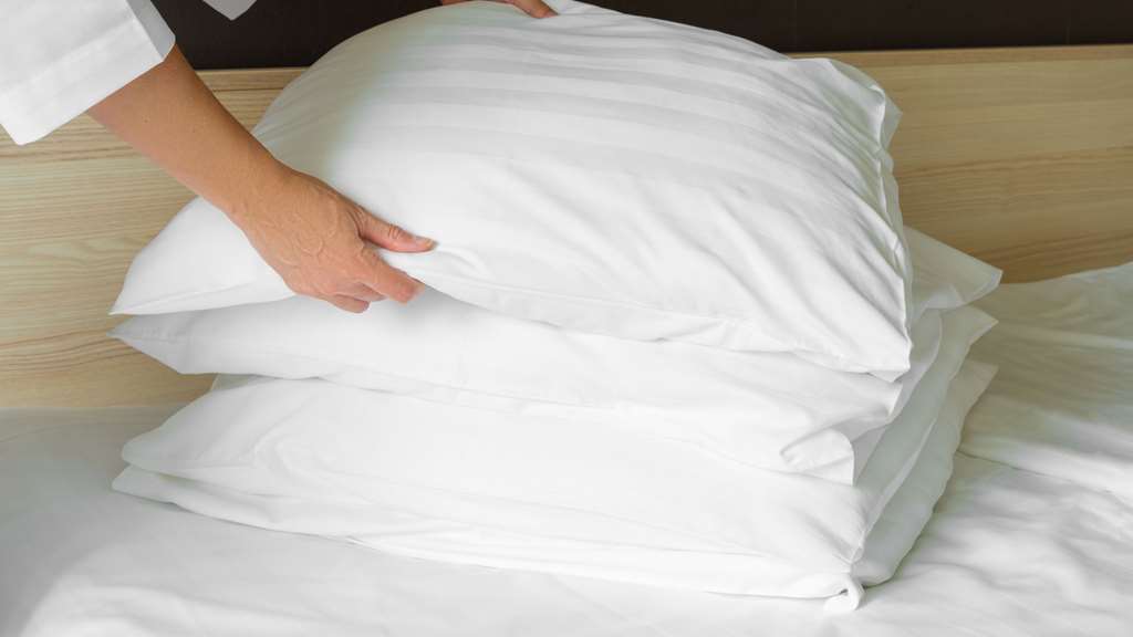 Mountain Inn & Suites Flat Rock Rom bilde